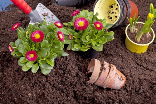Professional gardening services keeping a neat garden in Ardleigh Green