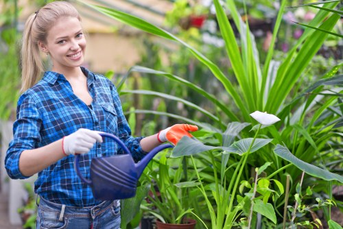 Gardeners Ardleigh Green providing careful local garden maintenance