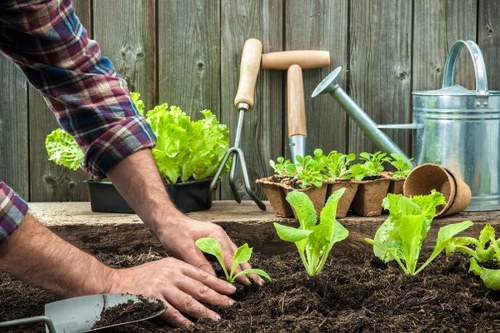 Gardener preparing a UK garden service agreement