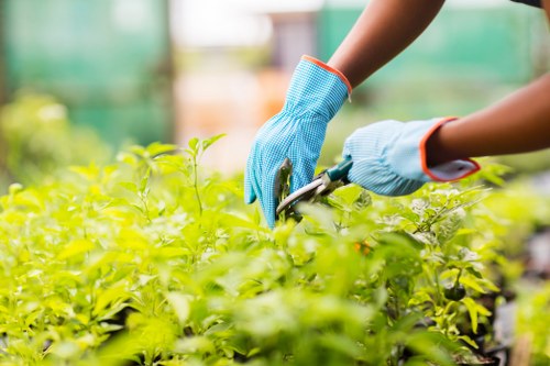 Professional gardening service payment and liability terms