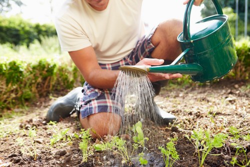 Professional patio cleaning removing moss and algae