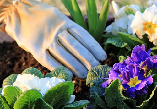 Well-kept borders and lawn by gardeners in Ardleigh Green
