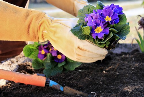 Garden maintenance terms and booking information