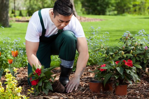 Illustration of accessible gardening information for Ardleigh Green visitors