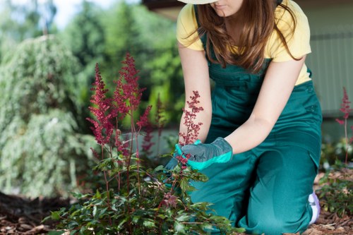 Front garden lawn care in Ardleigh Green improving kerb appeal
