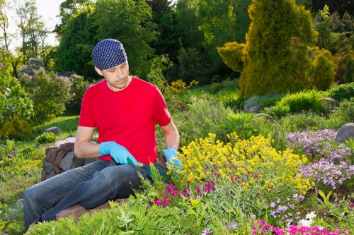 Professional garden waste collection and tidy-up