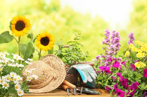 Seasonal lawn maintenance in Ardleigh Green for greener, stronger turf