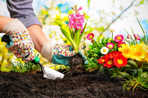 Attractive garden results from gardeners in Ardleigh Green