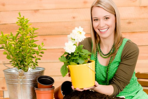 Green waste and debris removal from a local garden