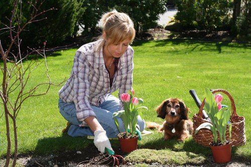 Clearing brambles and garden clutter in Ardleigh Green
