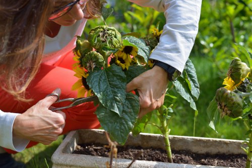 Local gardeners in Ardleigh Green shaping neat lawns and borders