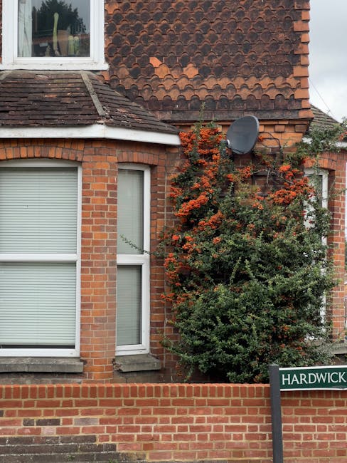 Close-up view of a traditional red-brick house with a prominent corner window featuring white frames and closed white blinds. Adjacent to the window, a lush, well-maintained shrub with dark green foli