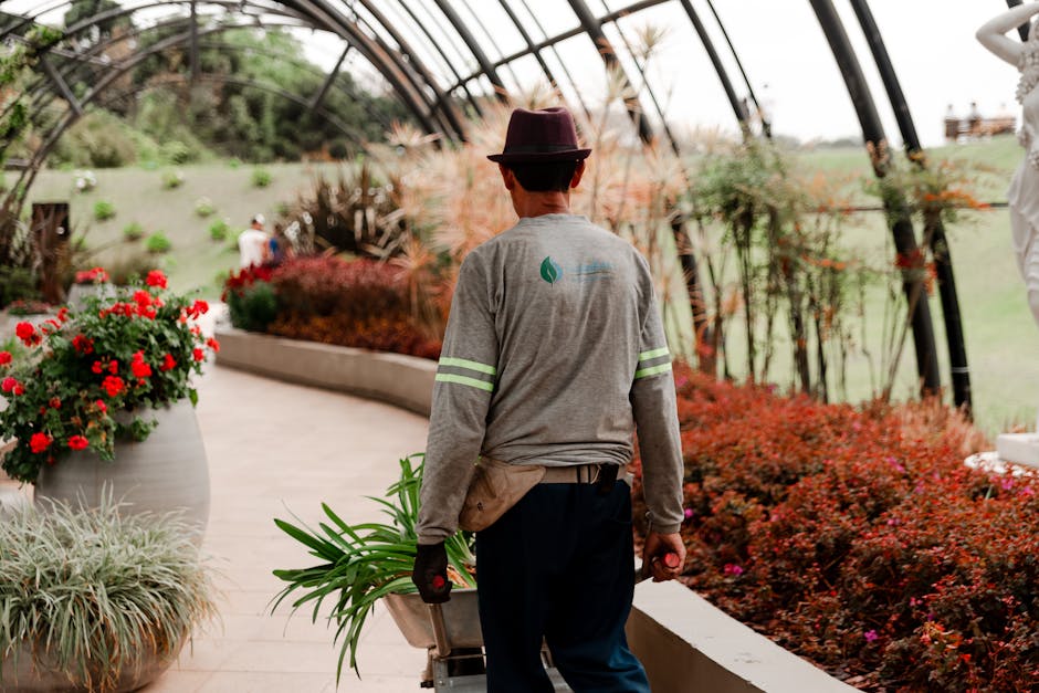 A man with short brown hair and glasses is engaged in garden maintenance in a backyard, using a cordless electric grass trimmer to trim the edge of a lush, green lawn. He is dressed in a dark hoodie a